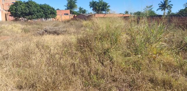 Oportunidade em planaltina DF vendo excelente lote de 1.150 metros no araponga - Foto 6