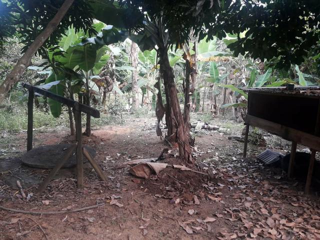 Vendo chácara na serra - Foto 3