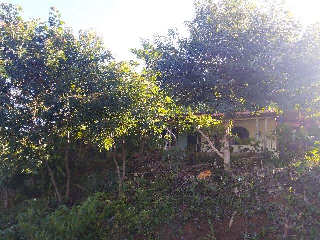 Sítio nas montanhas - Foto 5