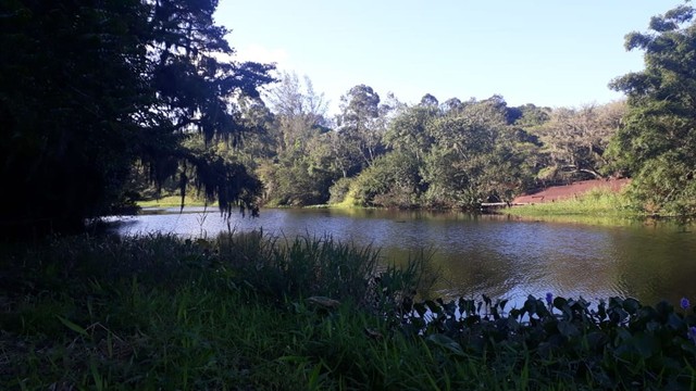 Chácara com 2 dorm e 3950m, Rio Verde - Torres