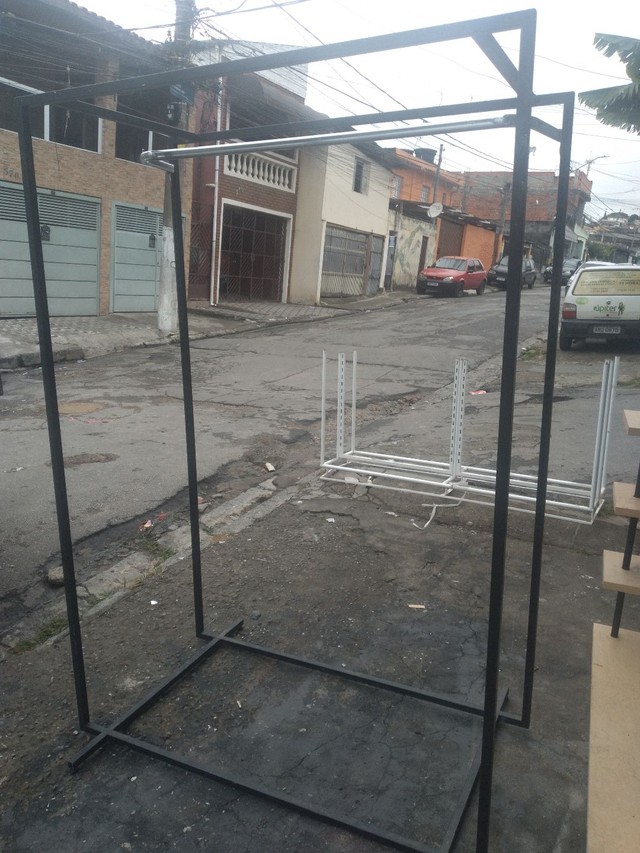 Arara capela  - Foto 4