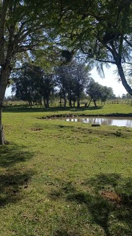 Vendo sítio maravilhoso - Direto com proprietário - Foto 3