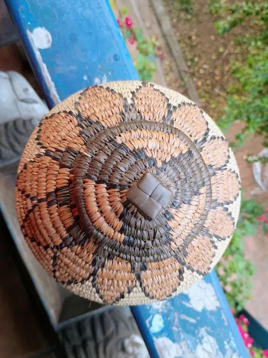 Pote indigena