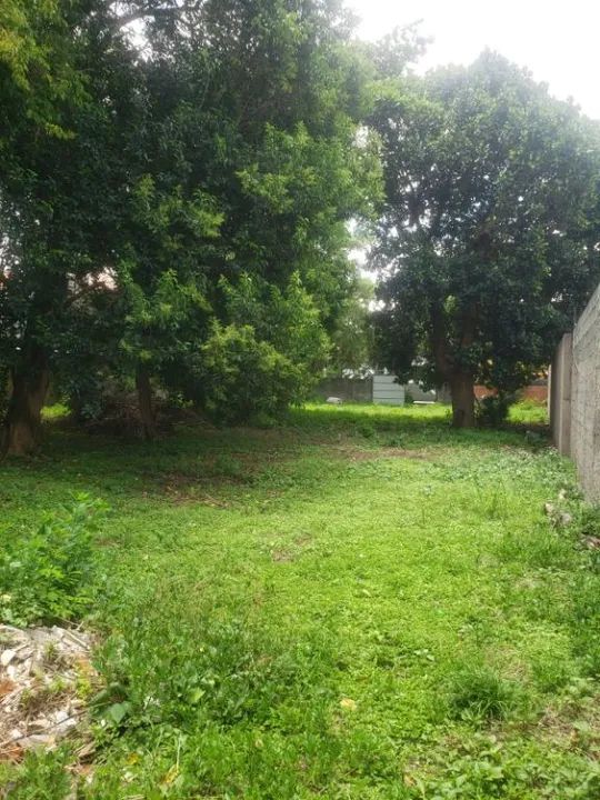 Terreno plano com 1000 metros em Presidente Altino - Foto 3