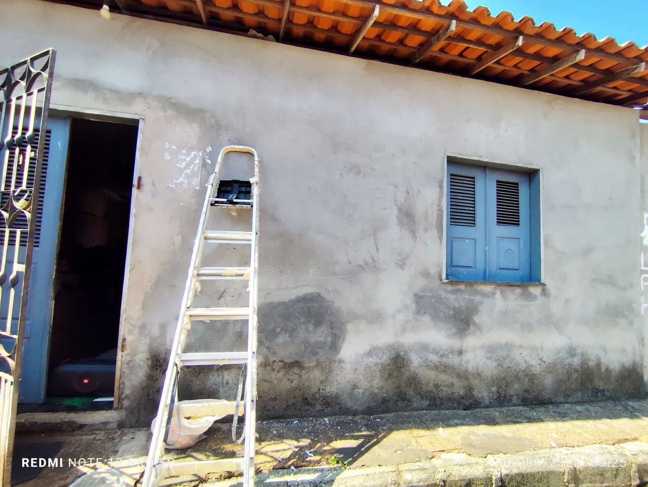 Pintor profissional 