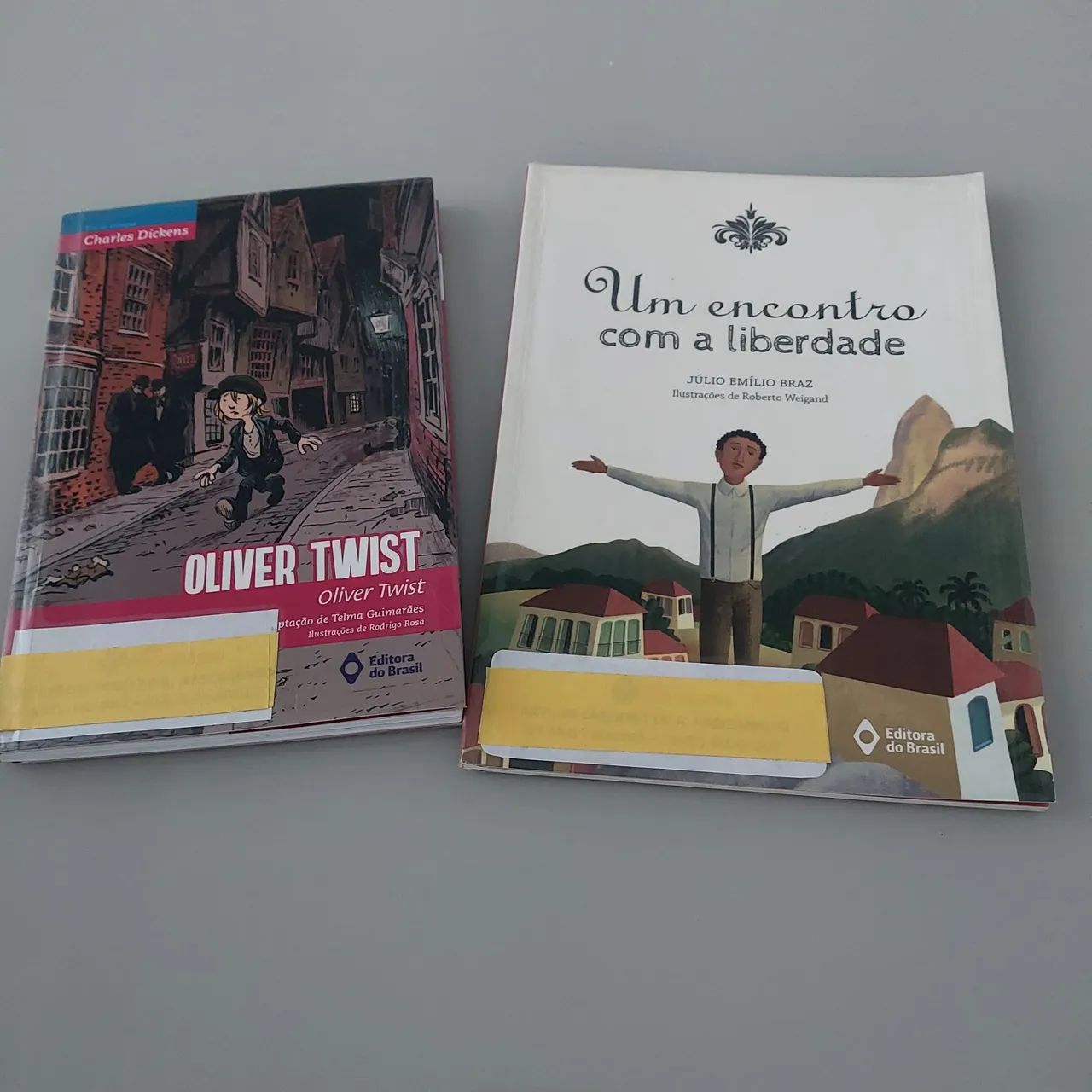 LIVROS PARA DIDÁTICOS USADOS - Foto 2