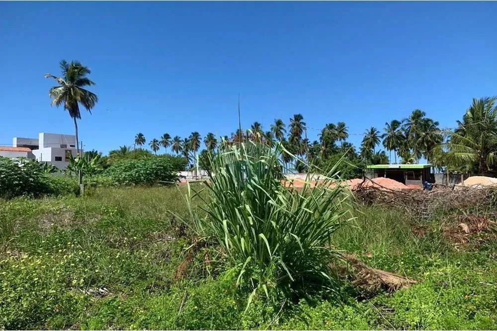 No Paraíso de Tatuamunha tem umTerreno esperando por você! - Foto 10