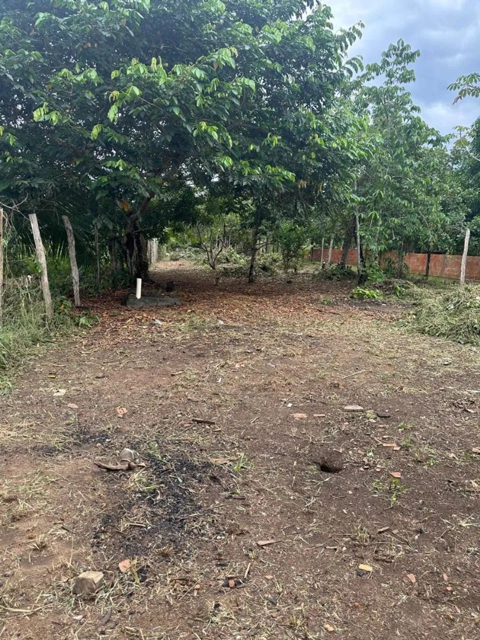 Troco esse sítio por casa  - Foto 5