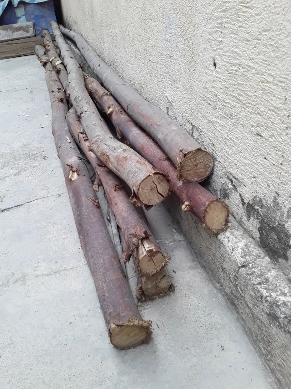 6 escoras em bom estado de uso - Foto 3