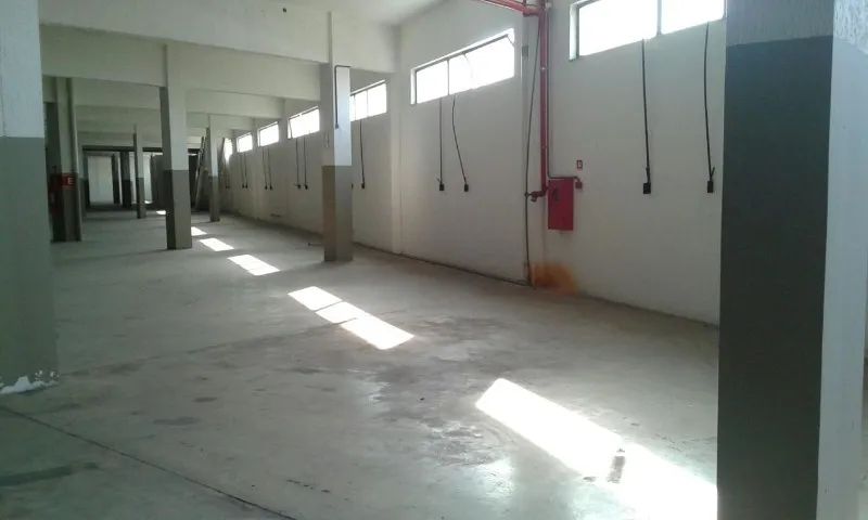 Excelente Galpão 14.000m² 100% Documentado na Colônia Antônio Aleixo - Foto 5