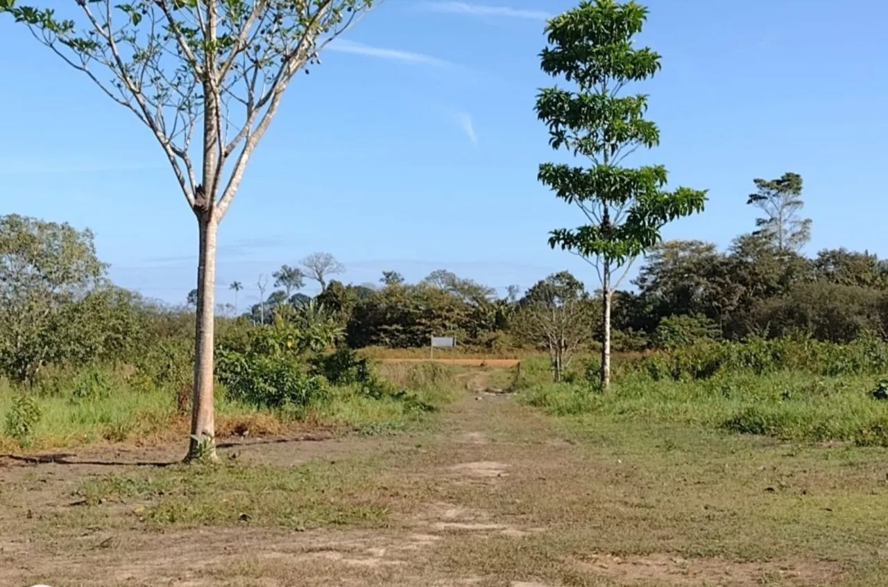 Vendo uma Excelente  Fazenda   - Humaitá - Amazonas - Foto 4
