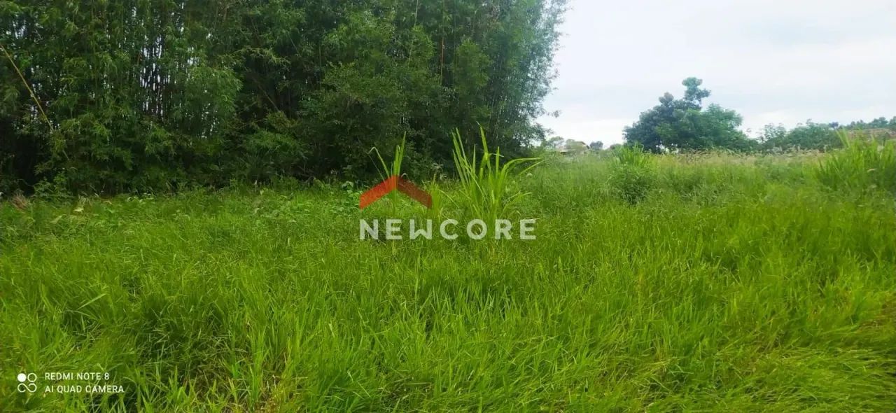 Lote em Rua 41227 - Ibiraquera - Imbituba/SC - Foto 7