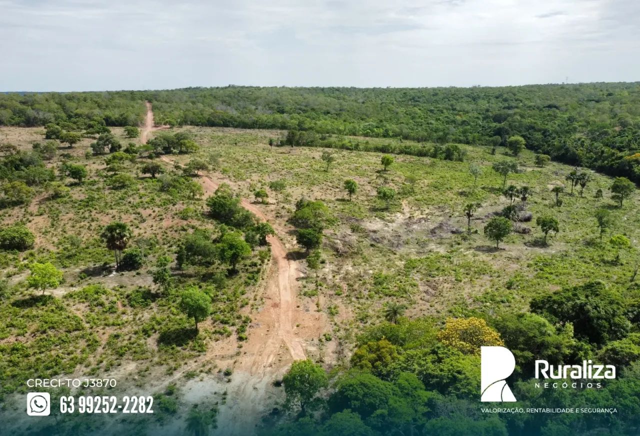 Cristalândia - TO propriedade para pecuária R$ 65.000,00/alqueire - Foto 2
