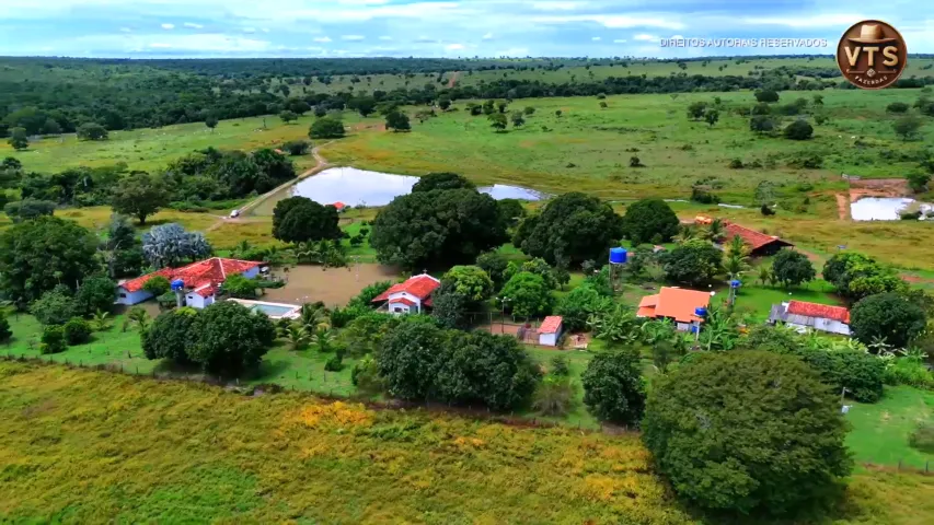 FAZENDA PLANA GADO SOJA MILHO ALTO PADRÃO