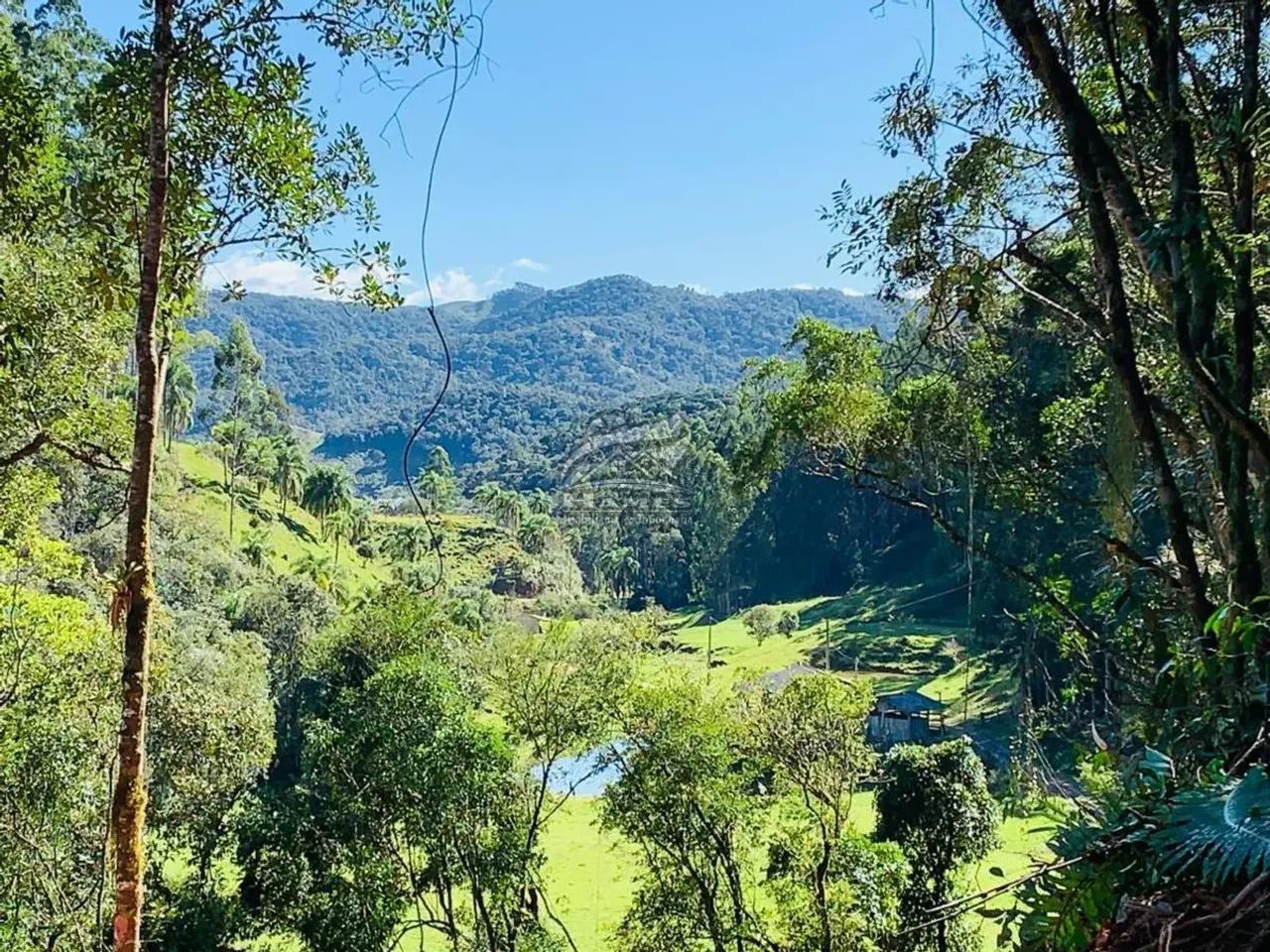 Terreno Rural para Venda em Angelina, ALTO GARCIA - Foto 2