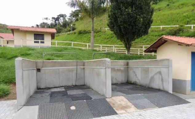 Haras cinematográfico  - Foto 2
