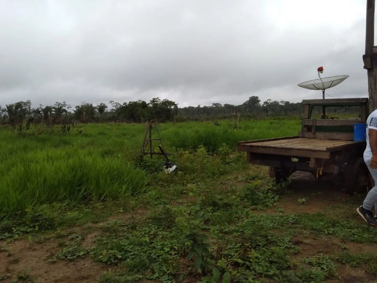 Vendo uma Excelente  Fazenda   - Humaitá - Amazonas