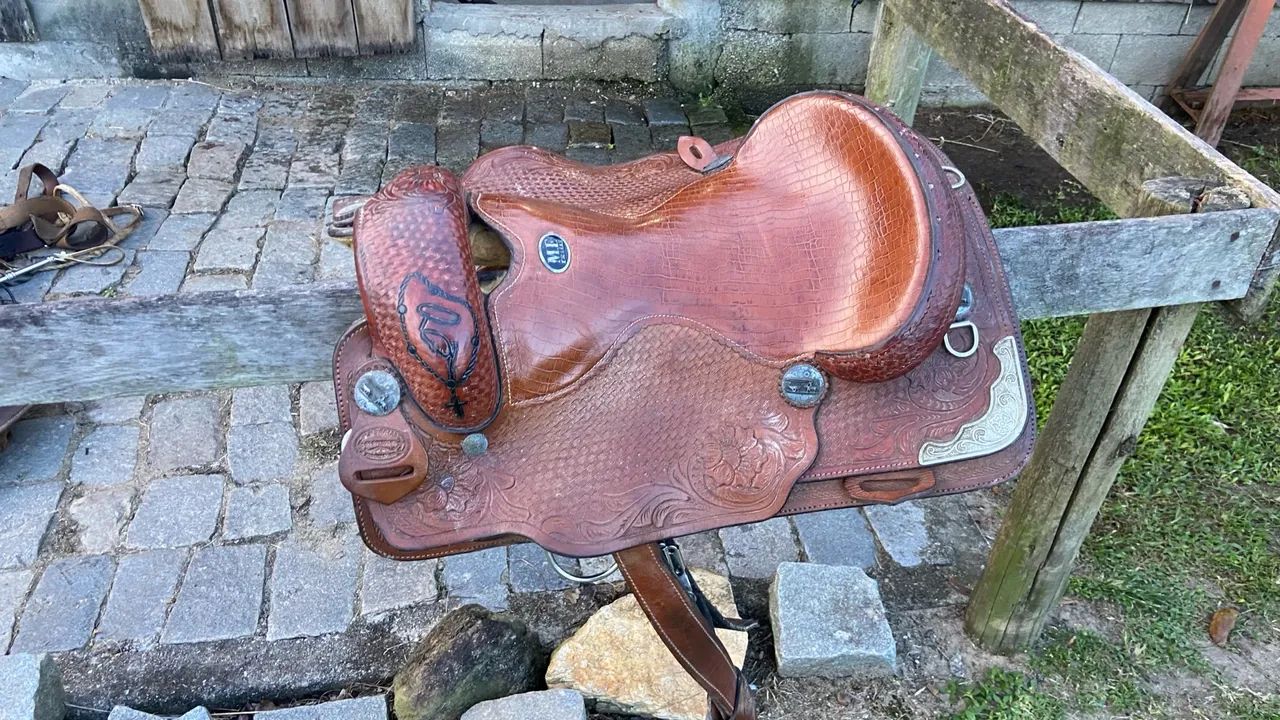 Sela americana ME traias - Foto 2