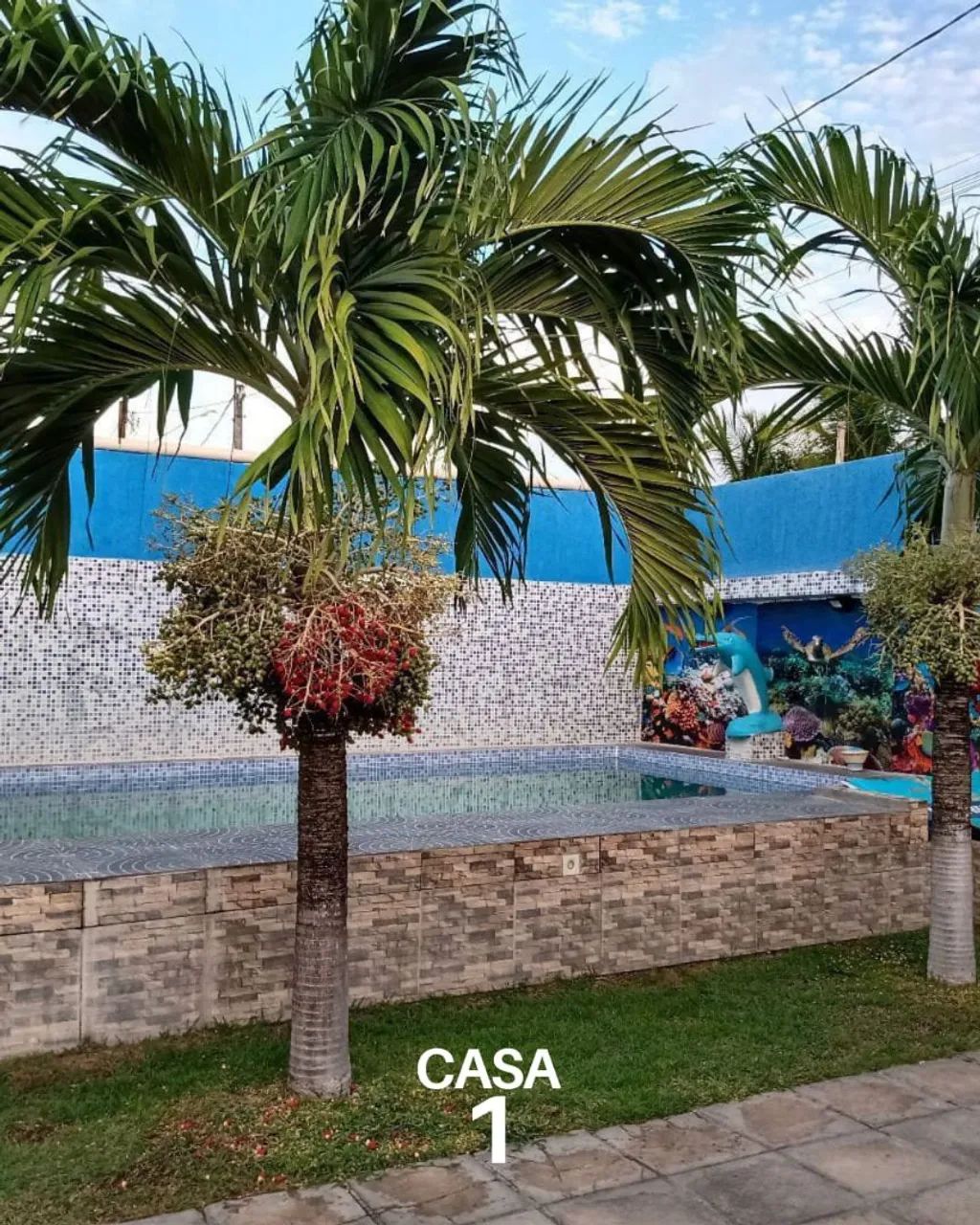 Alugamos Casas com Piscinas  para ( EVENTOS )em Conceição  Paulista . - Foto 7