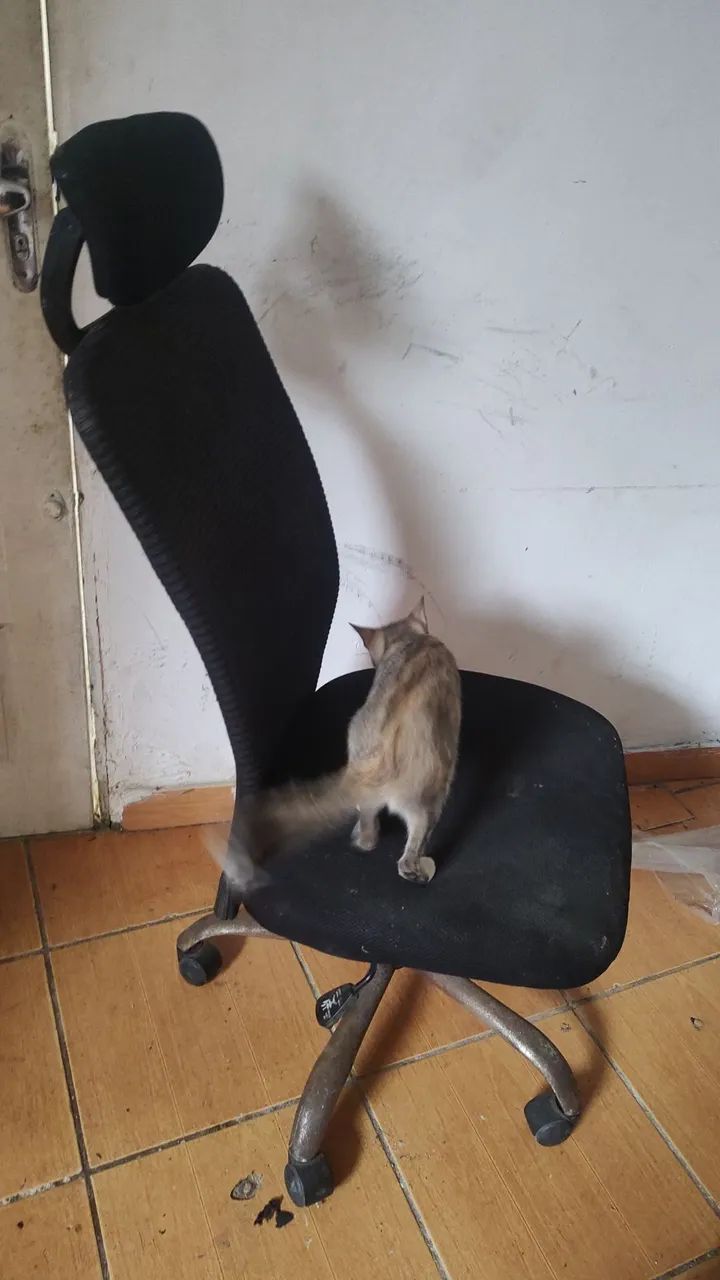 Cadeira de escritório  - Foto 3