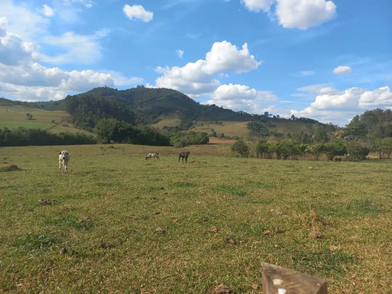 lindo sitio em Caconde sp - Foto 3