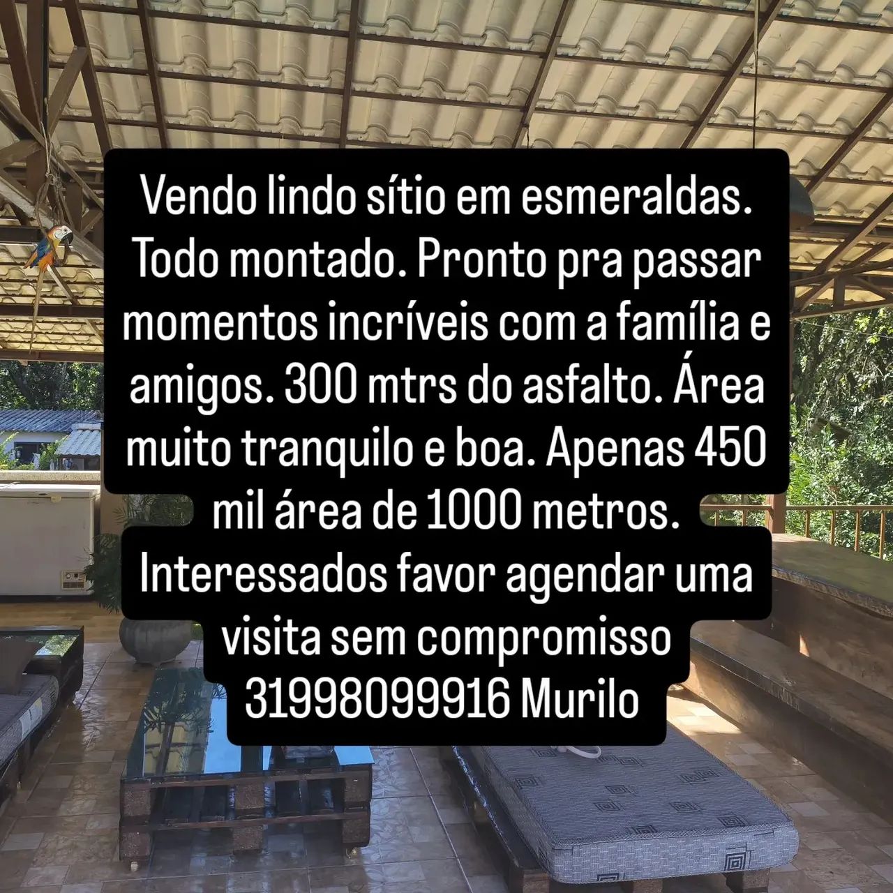 Foto - Contagem - Tijuca