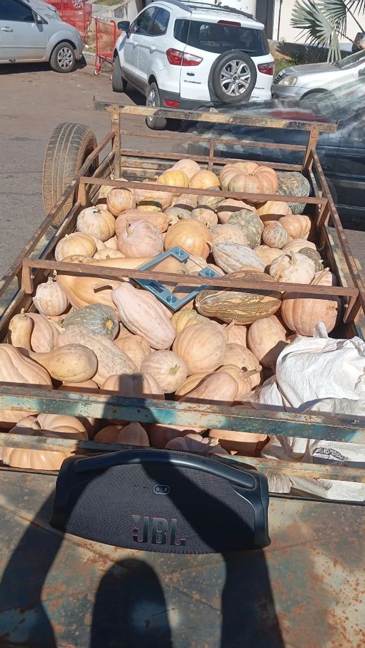 Abóbora de leite 2 reais o quilo 
