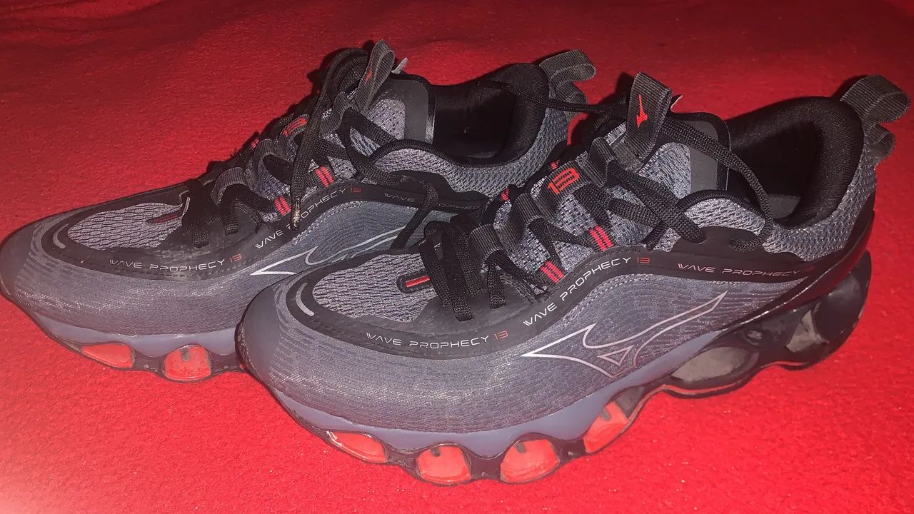 Mizuno prophecy 13