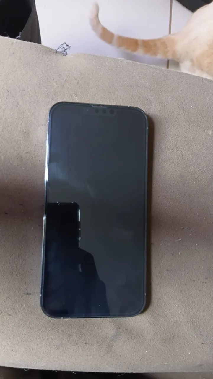 IPHONE 13 PRO MAX 256GB 