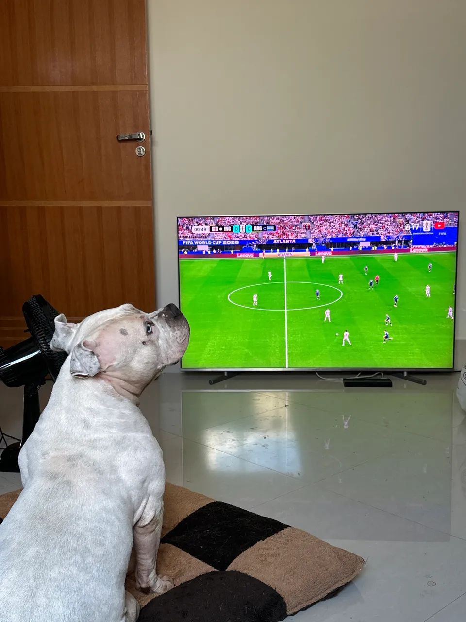 Samsung QLED TV 55 pol - Foto 5