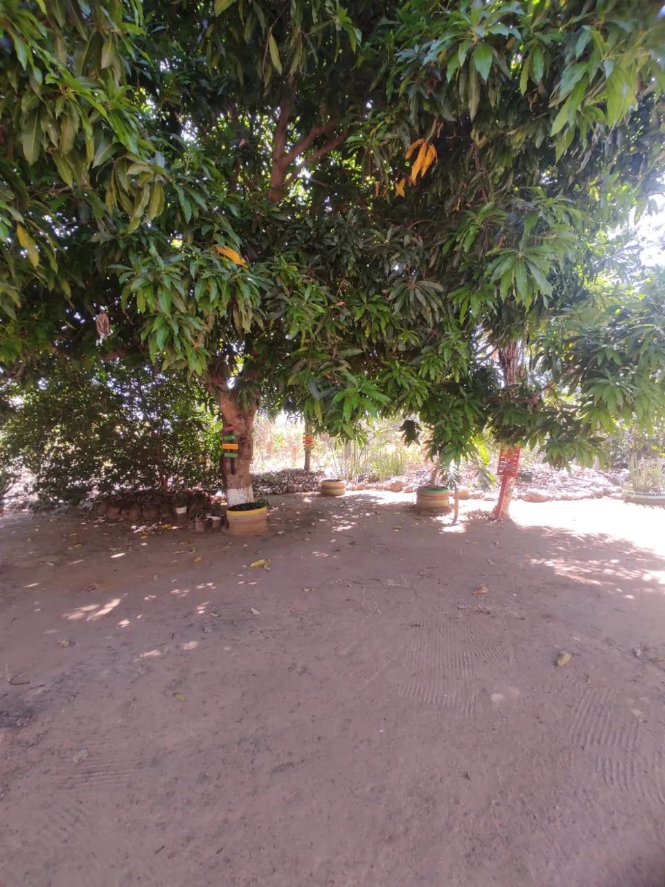 VENDO SITIO  - Foto 4