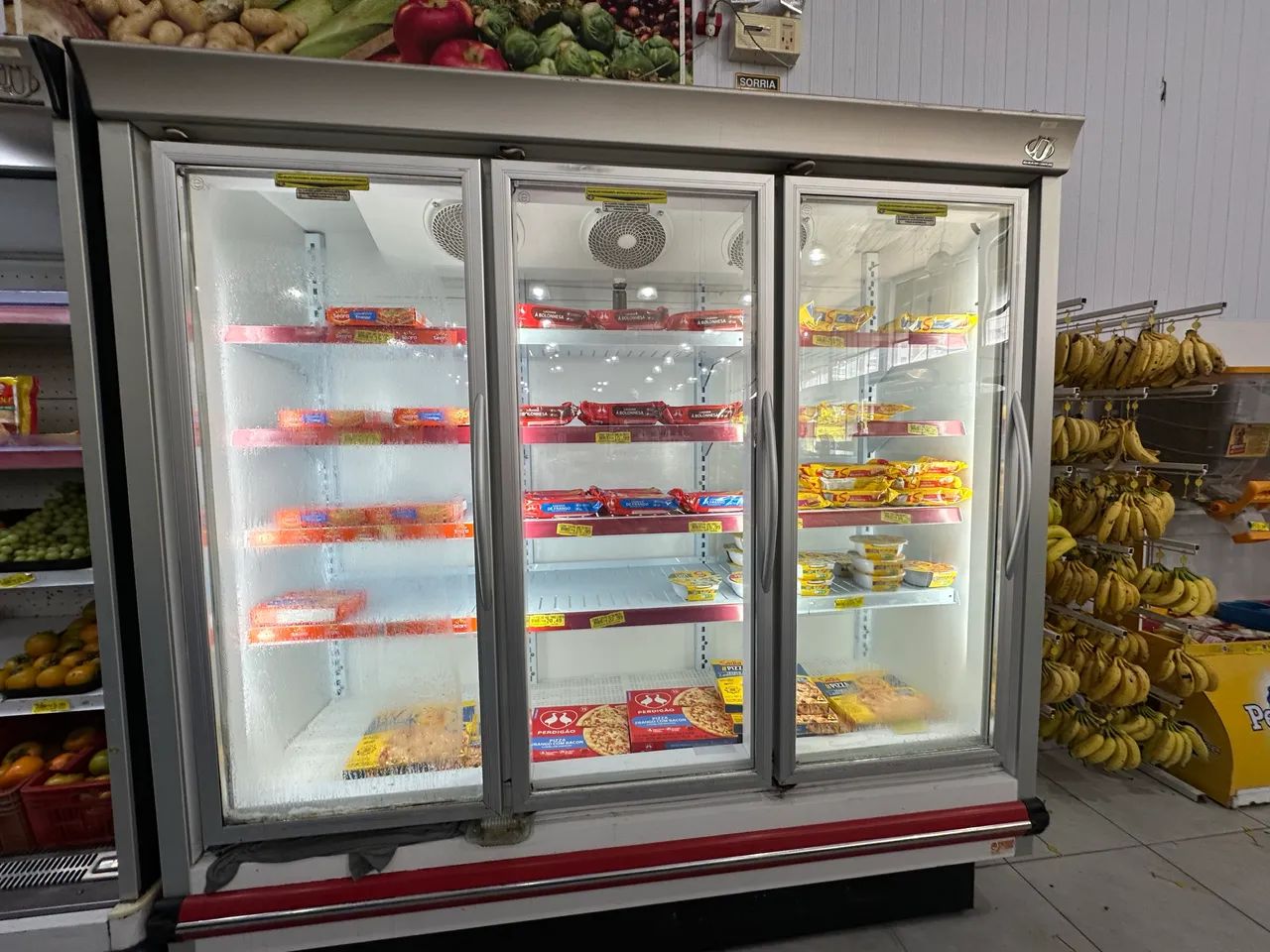 Freezer vertical congelado 