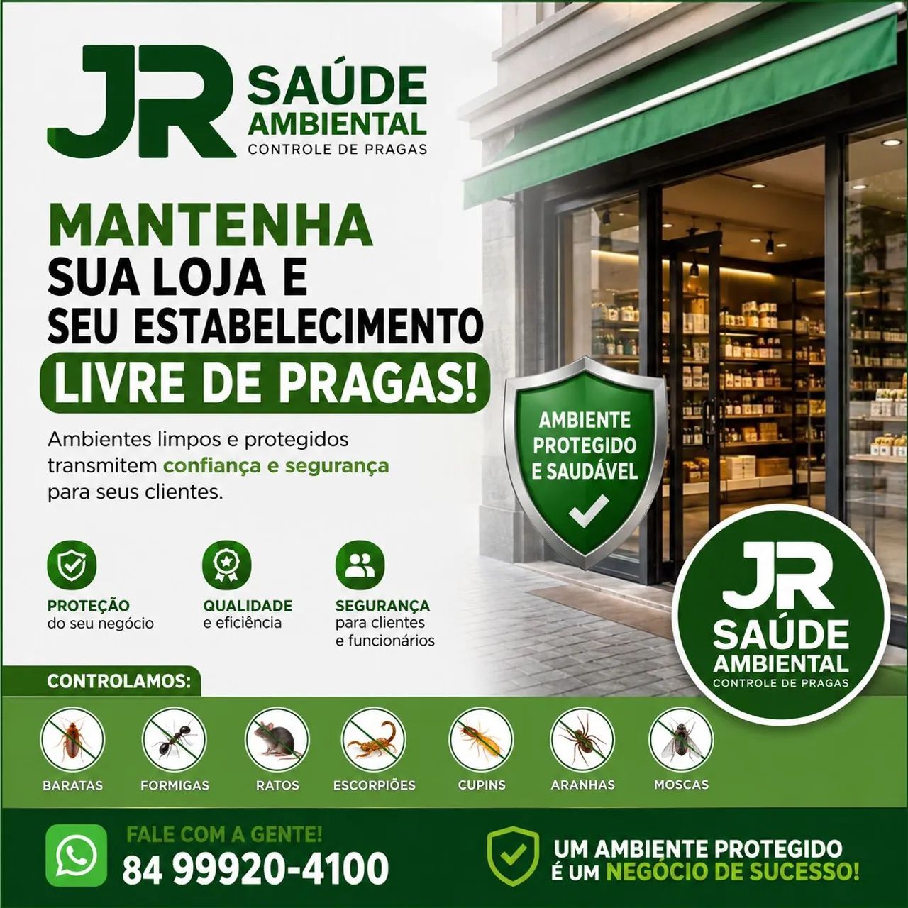 Dedetização 