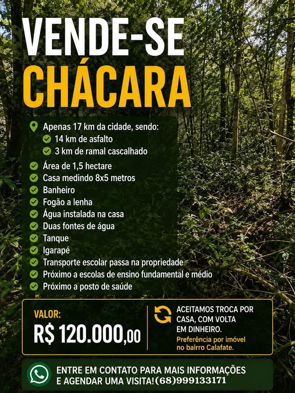 VENDO CHÁCARA A 25 MINUTOS DA CIDADE  - Foto 2
