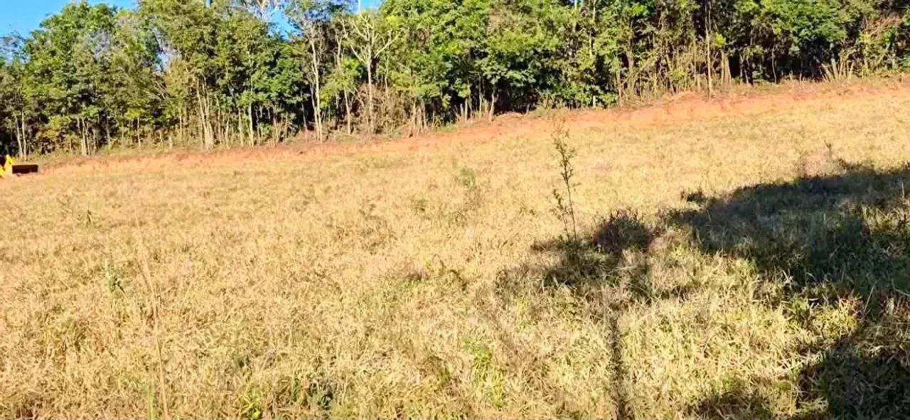 Terreno Nasente da Vida - Foto 8