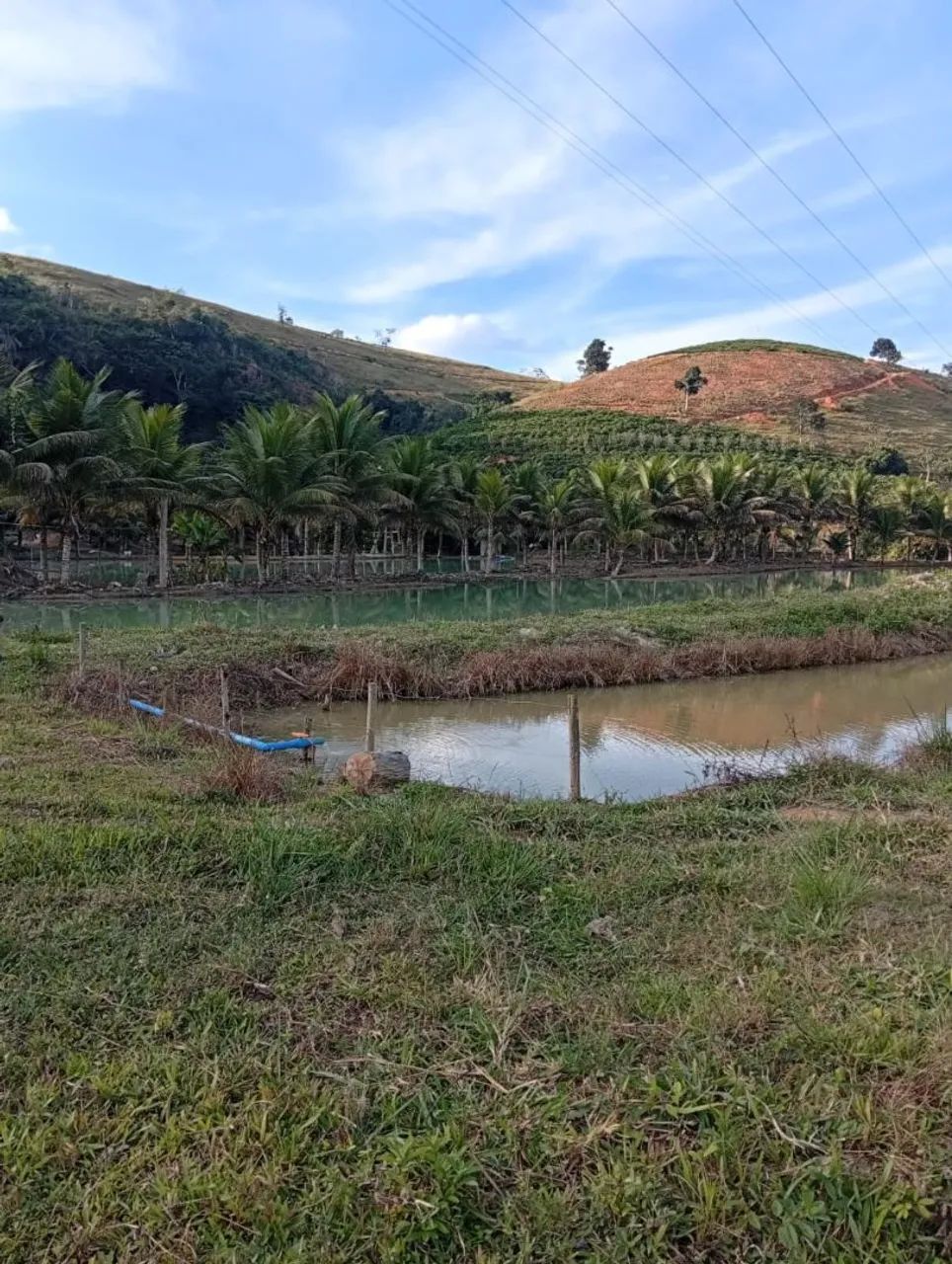 Vendo 5 alqueires norte do espírito santo  - Foto 3