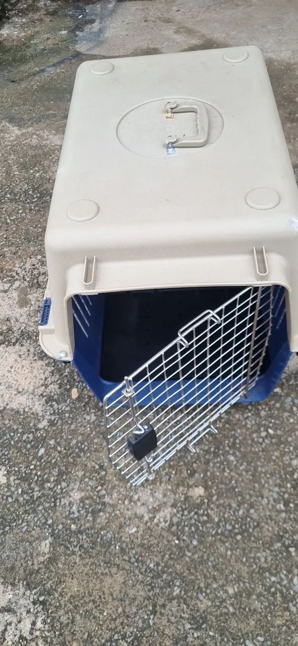 Caixa de transporte cão ?  padrões internacionais:valor 450 reais , telefone : * - Foto 3