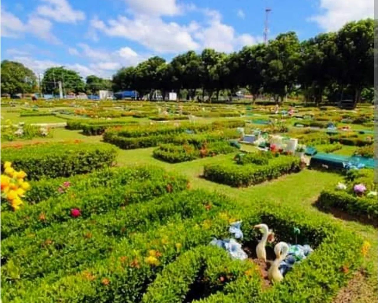 Jazigo - Gaveta no cemitério Parque Manaus