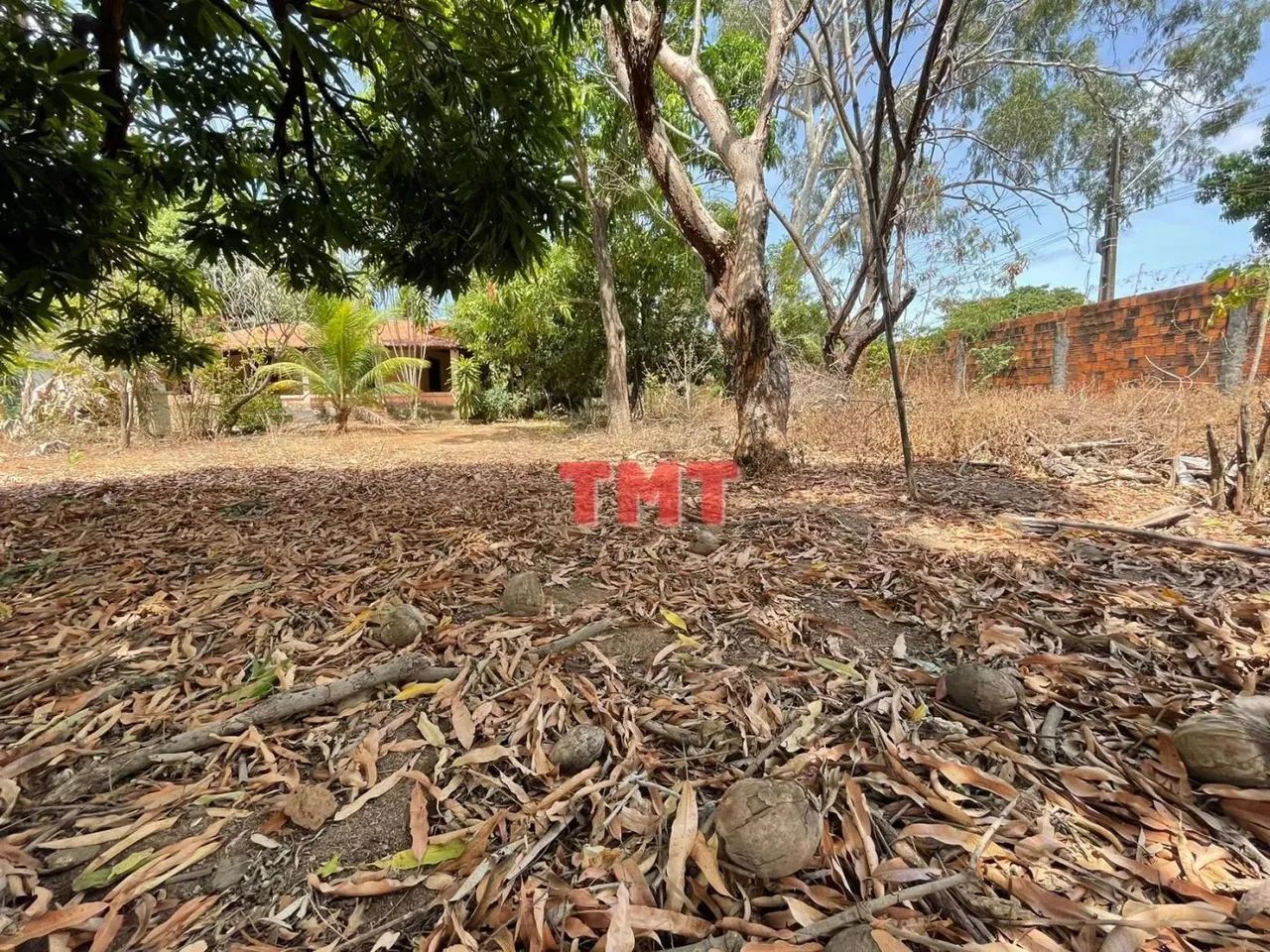 Sítio para Venda em Maranguape, Mucunã, 8 dormitórios, 6 suítes, 6 banheiros - Foto 2