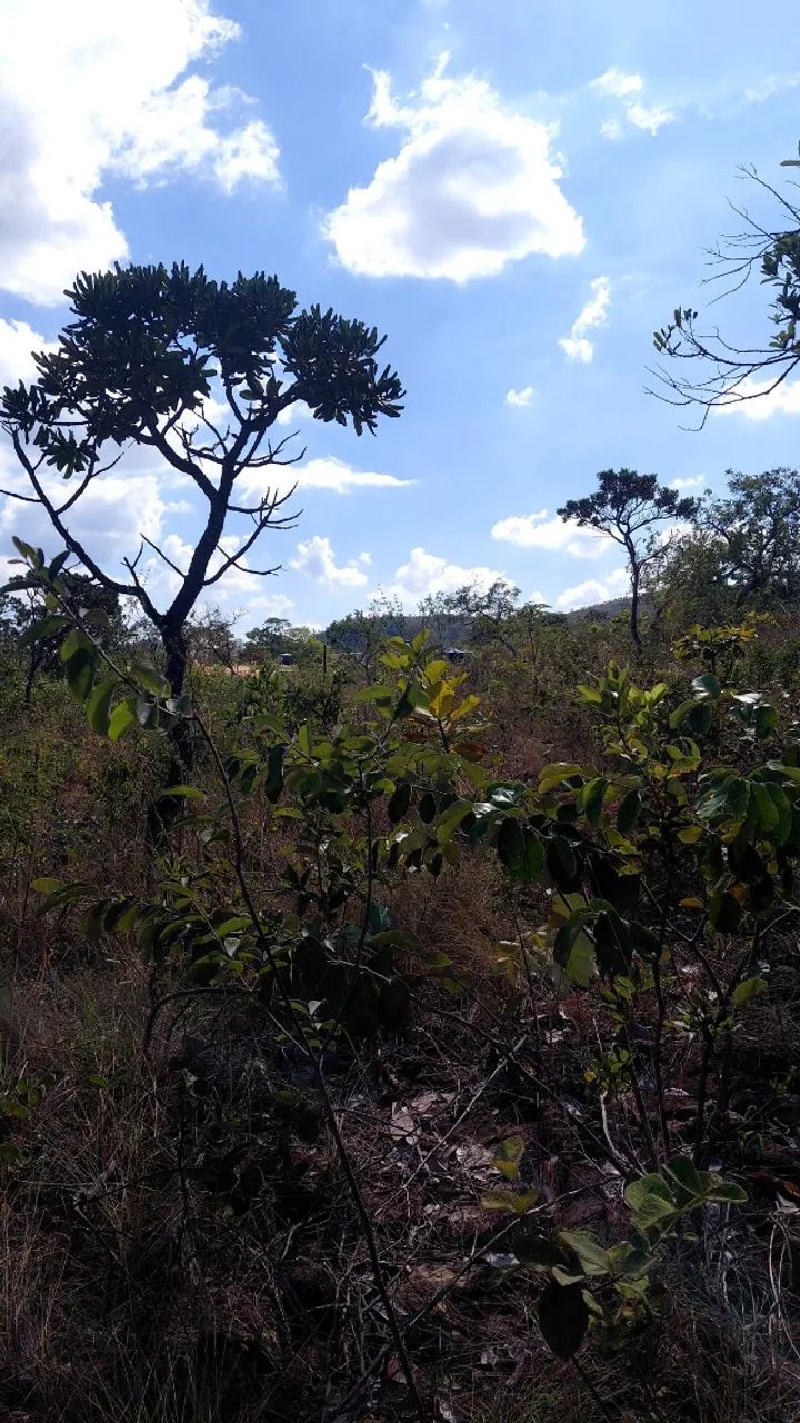 Chácara em taquaraçu de Minas * - Foto 5