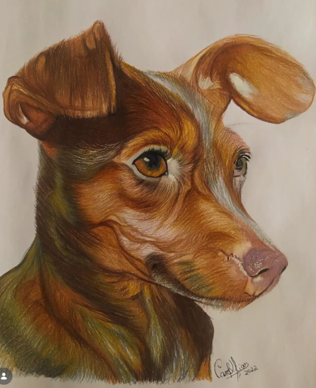 Arte do seu pet - Foto 3