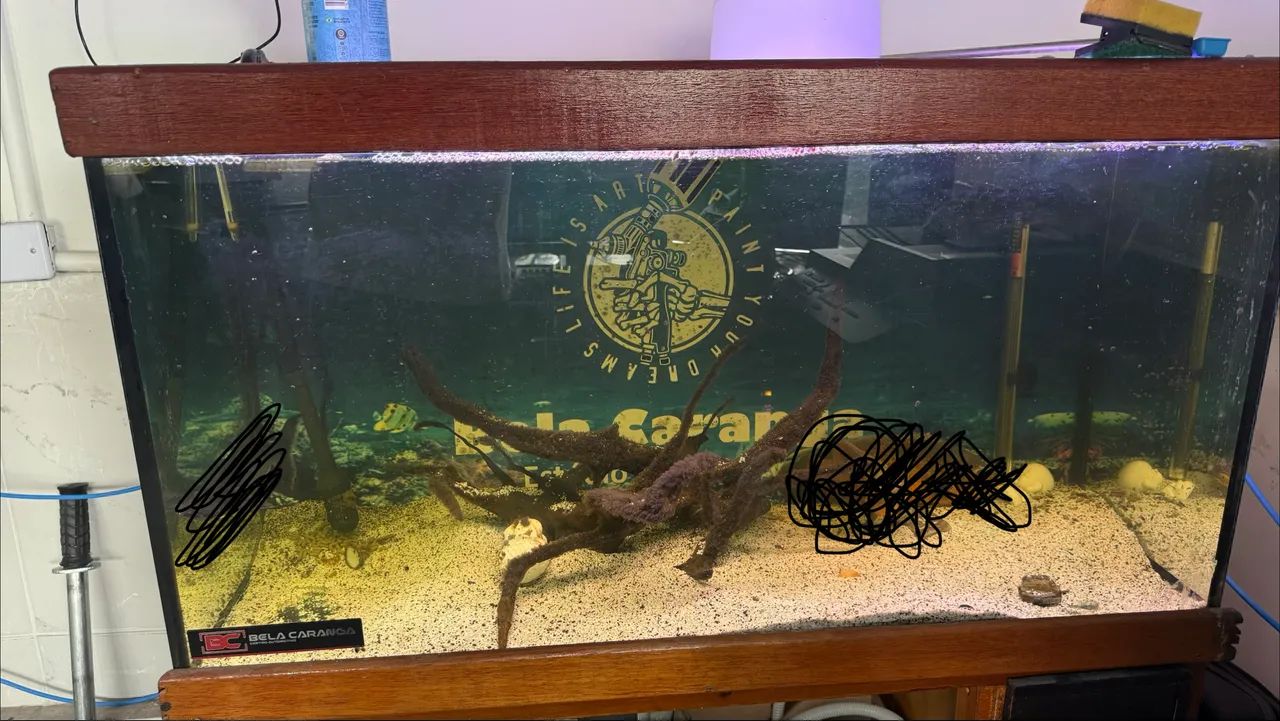 Vende-se aquário completo  - Foto 3
