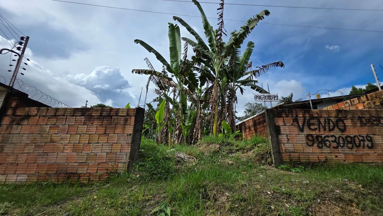 Foto - Manaus - Monte das Oliveiras