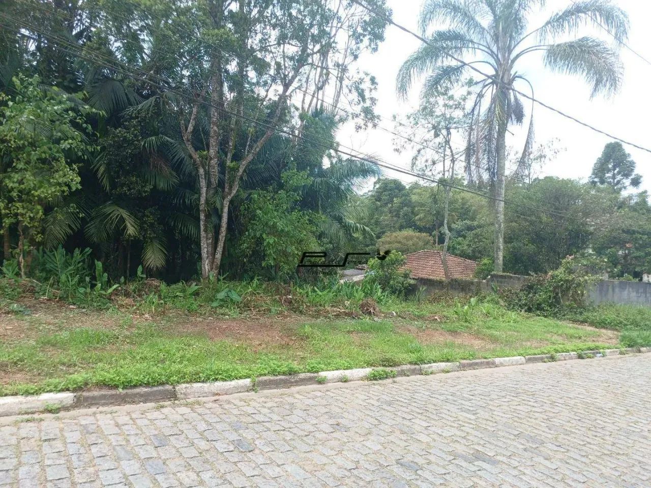 Terreno à venda em Rio Grande da Serra/SP - Foto 5