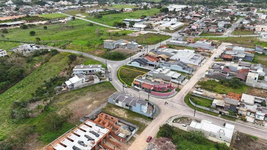 Foto - Gaspar - Figueira