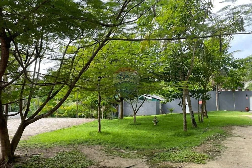 Chácara à Venda em Igarassu com mais de 2.163m² - Foto 3