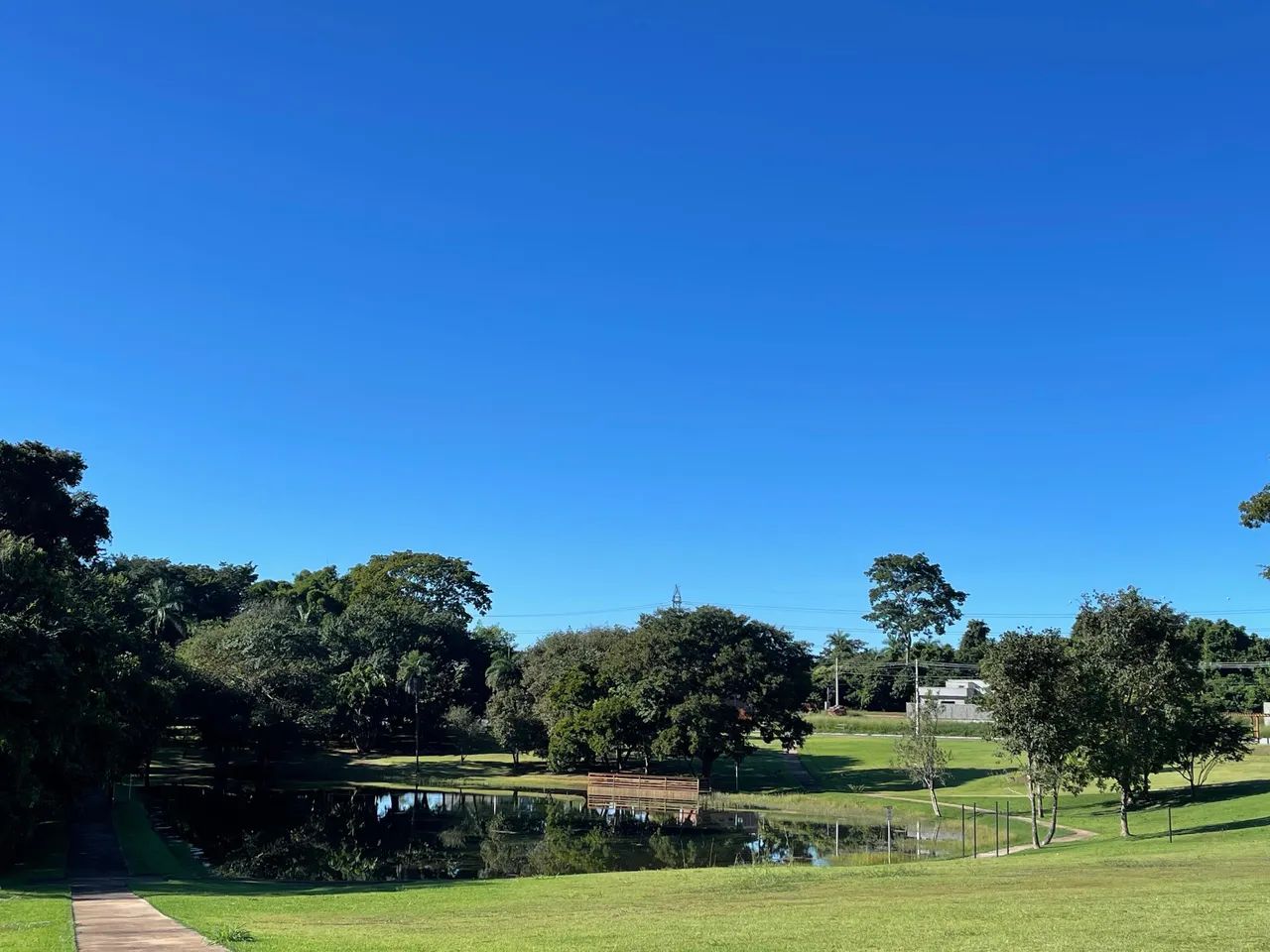 Lote Premium 284m² | Fundo Lago | Frente Mata | Rosa de Leiria - Foto 5