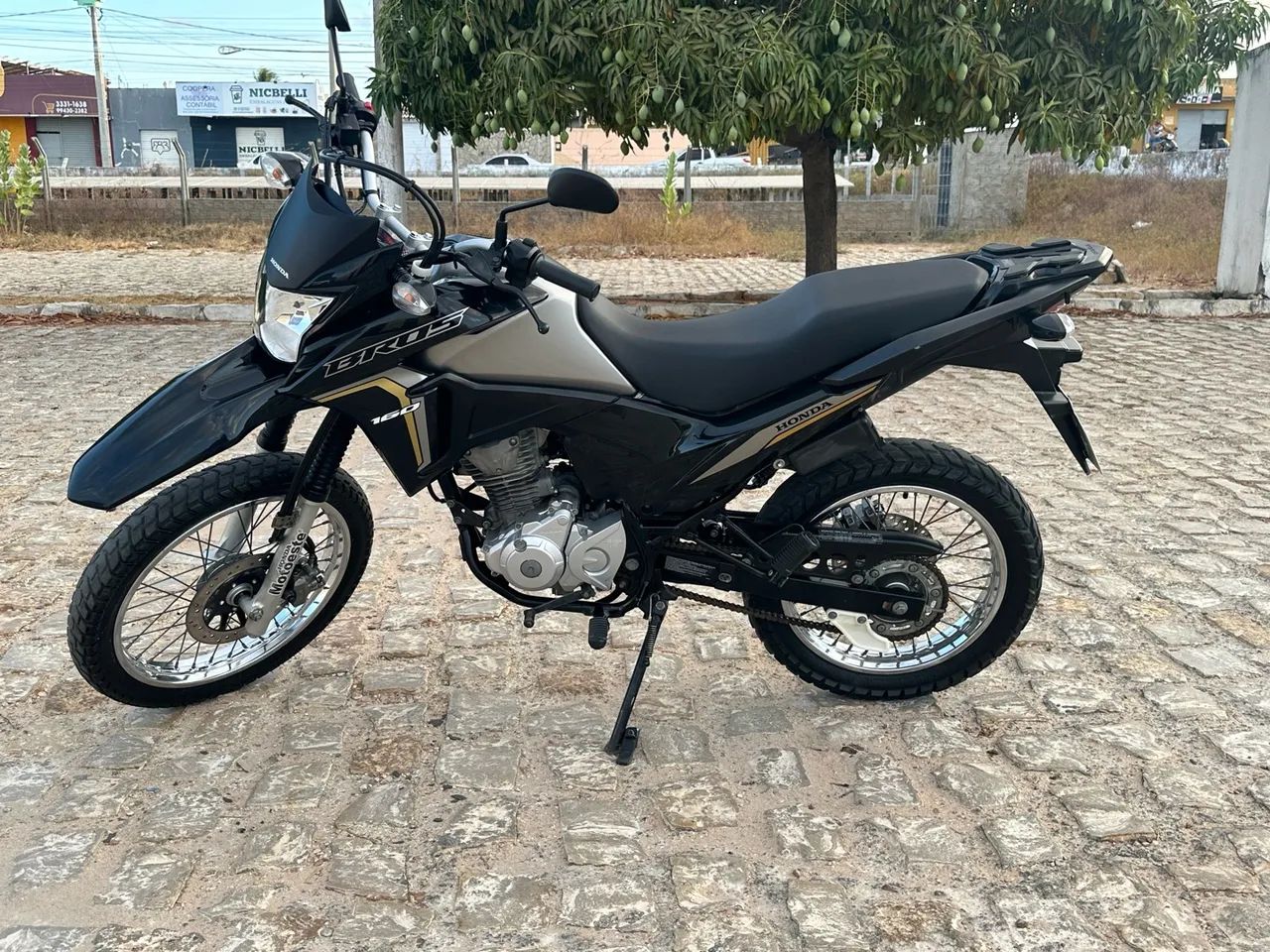 BROS 2023/23 EXTRA  - Foto 3