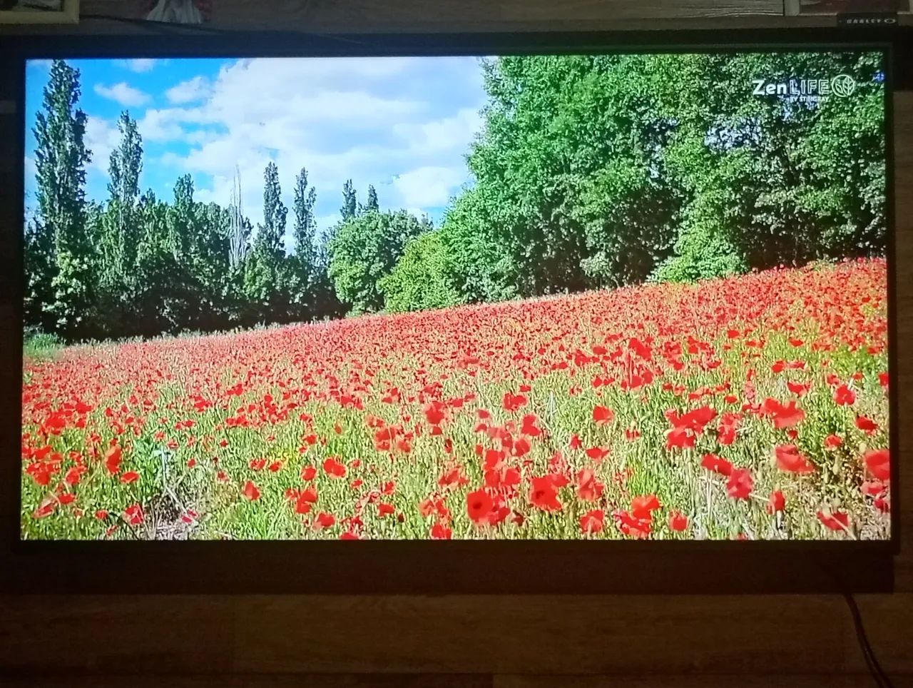 SMART TV LG 50 POLEGADAS 4K ALEXIA ULTIMA GERACAO SEMI NOVA  - Foto 4