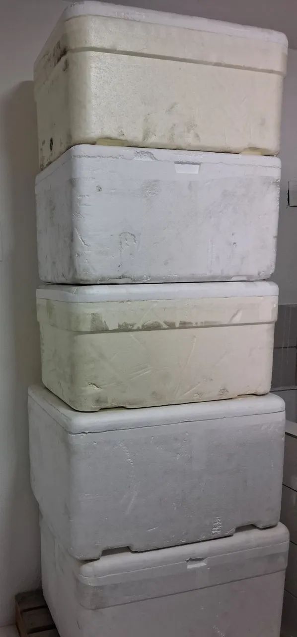 CAIXAS DE ISOPOR MUITO NOVAS - Foto 2